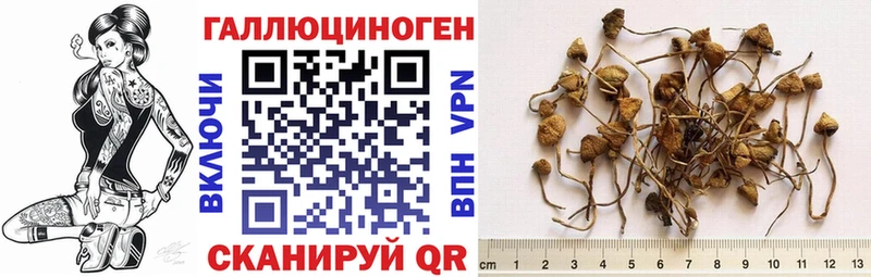 Псилоцибиновые грибы прущие грибы Купить Выкса